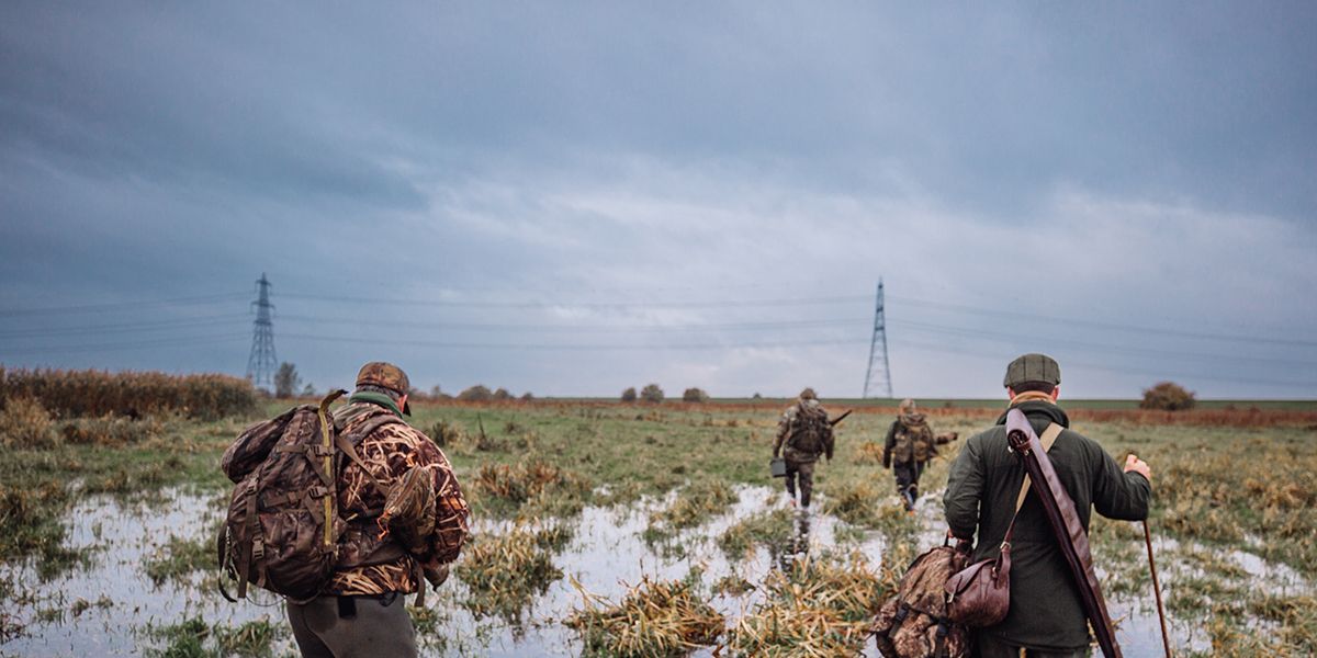 A group of wildfowlers walking through a wetland