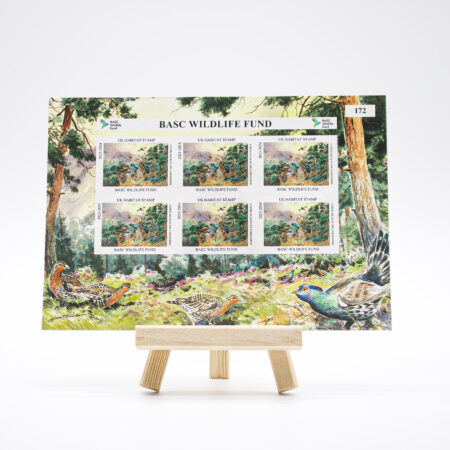 BASC Wildlife Fund 2023–2024 UK Habitat Stamp sheet on a wooden easel, showing six £5 stamps with capercaillie in flight over woodland in the Cairngorms, artwork by Simon Trinder.