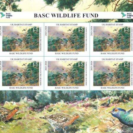 BWF 2023 Stamp mini sheet - Image 2