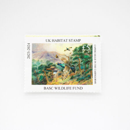 BASC Wildlife Fund 2023 UK Habitat Stamp featuring capercaillie in the Cairngorms by Simon Trinder.