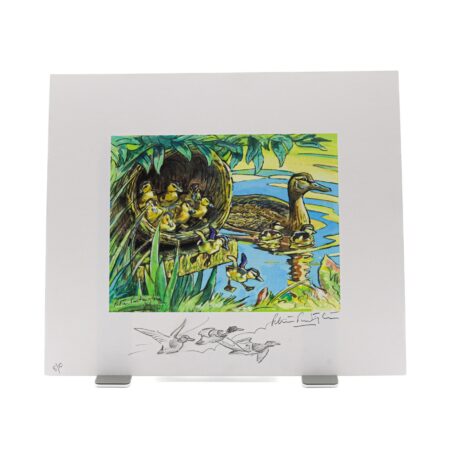 Unframed limited edition print of Mallard First Flight, showing a mallard on water with ducklings climbing from a nest into a wetland scene, set within a white border featuring a hand-drawn remarque of flying ducks and an artist’s signature.