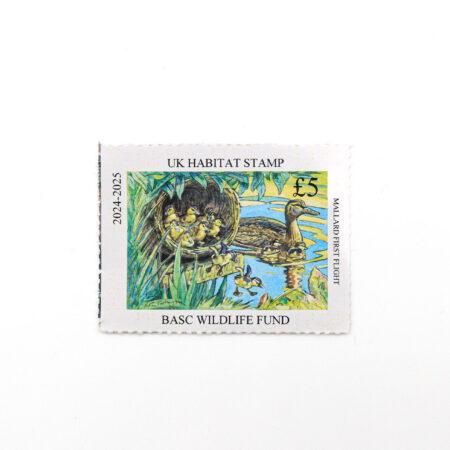 2024 UK Habitat Stamp featuring an illustration of a mallard with ducklings leaving a nest beside water, from the artwork Mallard First Flight by Peter Partington, £5 value