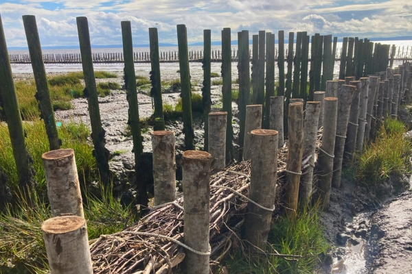 wentloog reclamation barrier