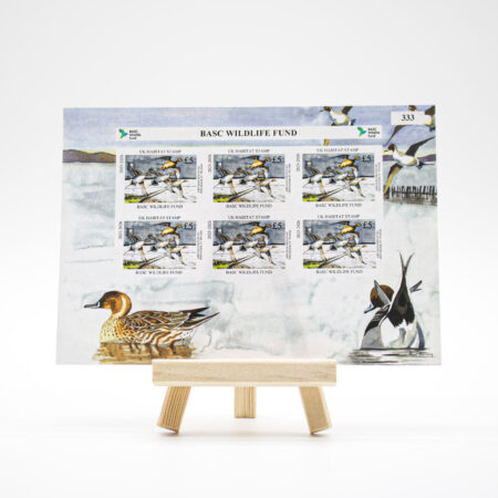BASC Wildlife Fund 2025–2026 UK Habitat Stamp sheet displayed on a wooden easel, showing six £5 stamps with illustrations of pintail ducks in flight, set against a watercolour wetland scene.