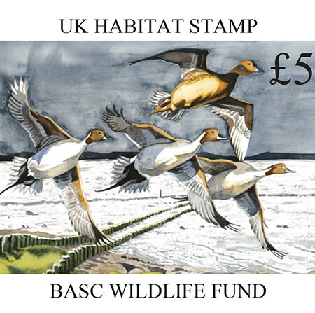 BWF Stamp 2025