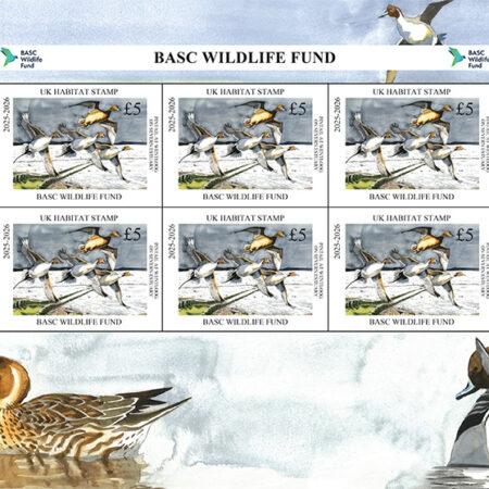 BWF minisheet 2025