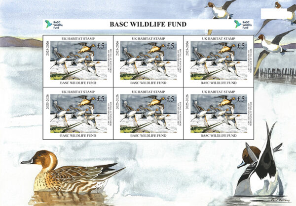 BWF minisheet 2025