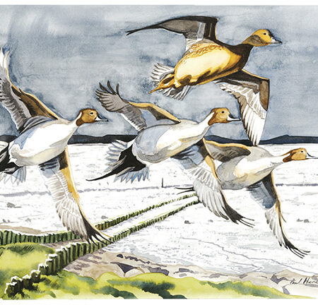 BWF 2025 print