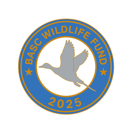 BWF badge 2025