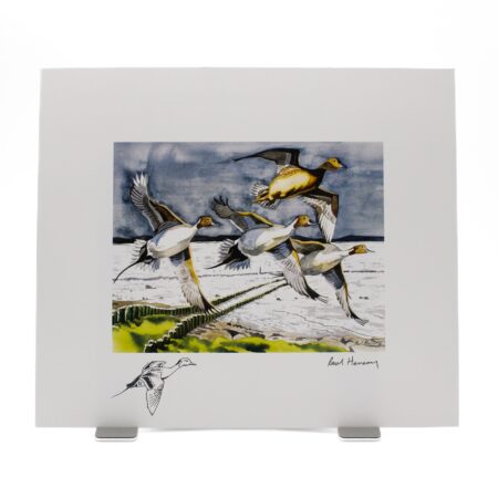 Unframed limited edition watercolour-style print of pintail ducks flying over a wetland under a dark sky, mounted on a white border.
