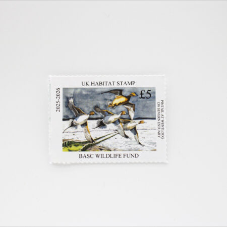 2025 Habitat stamp showing pintail ducks in flight over Wentloog, artwork by Paul Henery, with £5 value and BASC Wildlife Fund text.