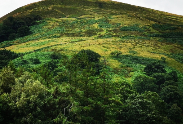 Forest of Bowland National Landscape