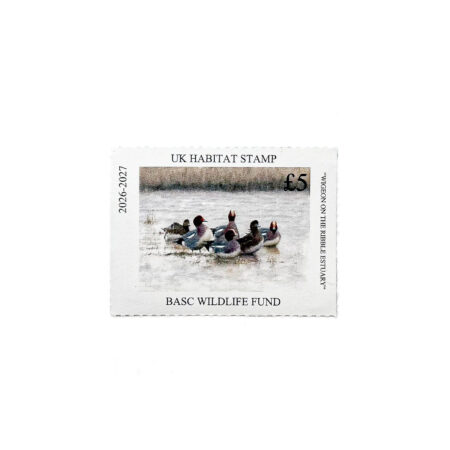BASC Wildlife Fund UK Habitat Stamp featuring a group of wigeon floating on the Ribble Estuary, with a £5 denomination and habitat illustration set within a white stamp design.