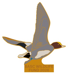 BWF 2026 Lapel Badge - Image 2