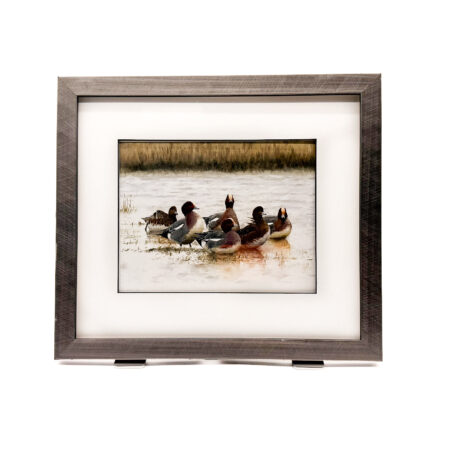Framed limited edition wildlife print depicting a small group of wigeon resting in shallow water on the Ribble Estuary. Reeds line the distant shoreline, while the ducks' rich chestnut heads, cream foreheads and soft grey plumage are reflected in the calm water